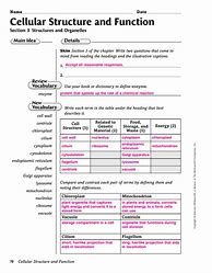 Image result for Cellular Structure