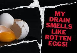 Image result for Rotten Egg Smell