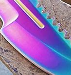 Image result for Case Fixed Blade Hunting Knives