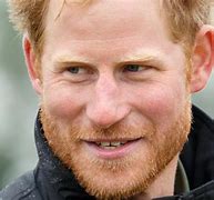 Image result for Beard Harry PO