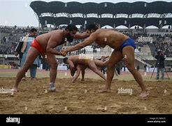 Image result for Pakistani Wrestlers Fight