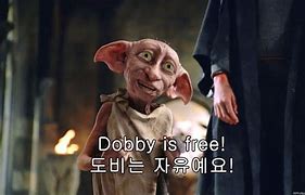 Image result for Dobby Is Free Meme