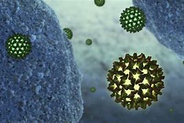 Image result for Hepatitis B