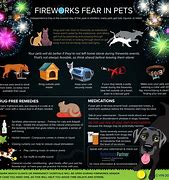 Image result for Fireworks and Pets