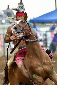 Image result for Indian Relay Horse Racing
