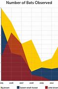 Image result for Bat Evolution Chart