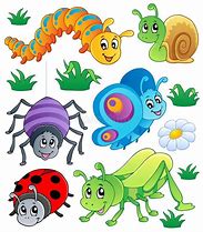 Image result for Insect Cartoon for Kids