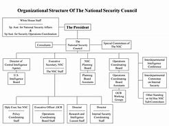 Image result for Trump Organization Organizational Chart