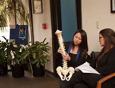 Image result for Chiropractic Learning