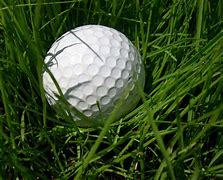Image result for Golf Grass Texture