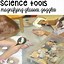 Image result for Preschool Apple Science Activities
