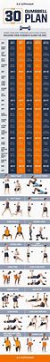 Image result for Free 30-Day Workout Plan for Men