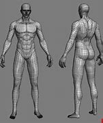 Image result for Human Small Model 3D Free