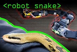 Image result for Giant Robot Snake