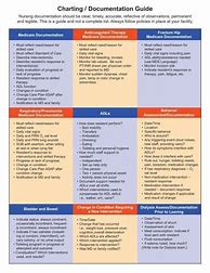 Image result for Nursing Documentation Guidelines