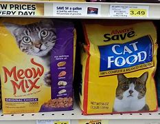 Image result for Fat Cat Food Meme