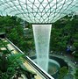 Image result for Biophilic Architecture