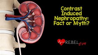 Image result for Differences Between Nephropathies