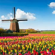 Image result for Must-See Netherlands