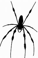 Image result for 4G Sim Card Spider