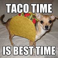 Image result for Taco Dog Meme