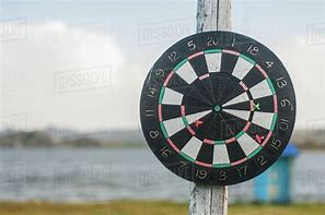 Image result for Nature Darts