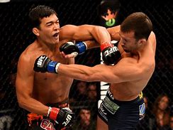 Image result for Martial Arts Fighting