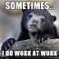 Image result for Working a Lot Meme