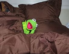 Image result for Kermit Blanket Meme