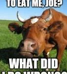 Image result for Moss Cow Meme