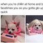 Image result for Dogs with iPhone Memes