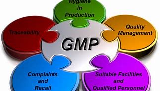 Image result for GMP Training