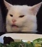 Image result for Cool Cat Meme Template