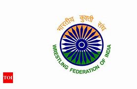 Image result for Wrestling Federation of India HD Wallpaper