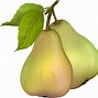 Image result for Pear Phone Colors