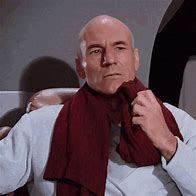 Image result for Mirror Jean-Luc Picard