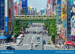 Image result for Akihabara Crowd