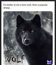 Image result for Lone Wolf Funny