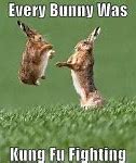 Image result for Cute Rabbit Memes