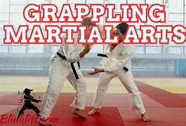 Image result for Grappling Martial Arts