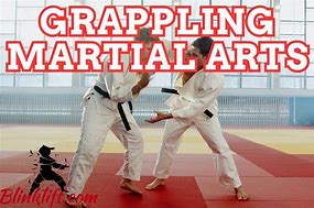 Image result for Grappling Martial Arts List