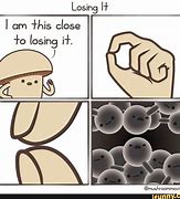 Image result for Funny Losing Memes