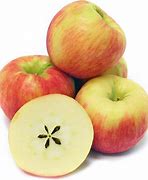 Image result for White Apple with Yellow Flesh