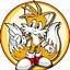 Image result for Knuckles the Werehog