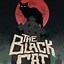 Image result for The Black Cat Movie
