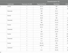 Image result for Cubii Conversion Chart
