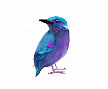 Image result for Galaxy Bird