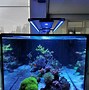 Image result for Sky LED Aquarium Light