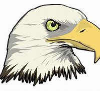 Image result for Bald Eagle Outline