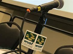Image result for Tai WUSF